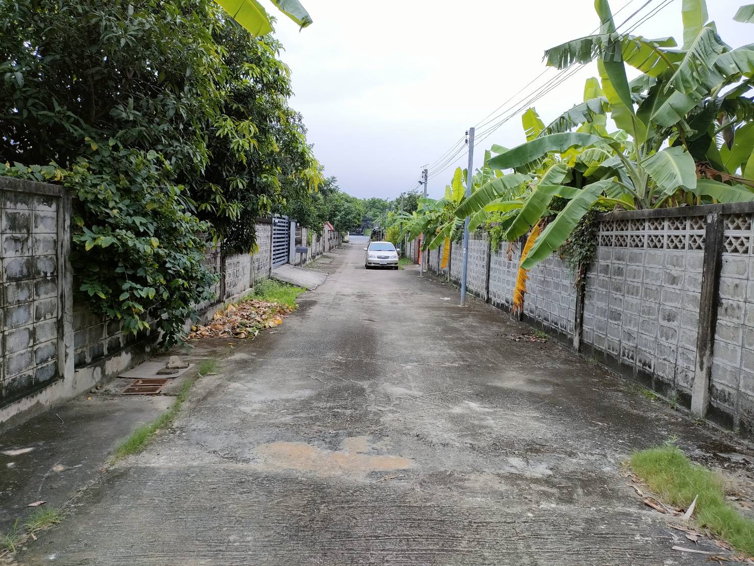 ให้เช่าที่ดินเปล่าถมแล้วในถนนมัยลาภ กรุงเทพมหานคร